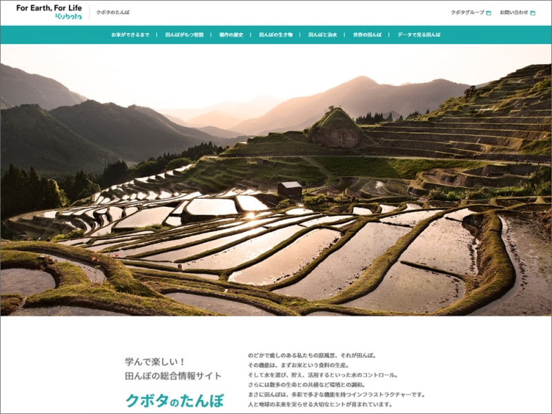 自由研究 お米についてクボタのたんぼ