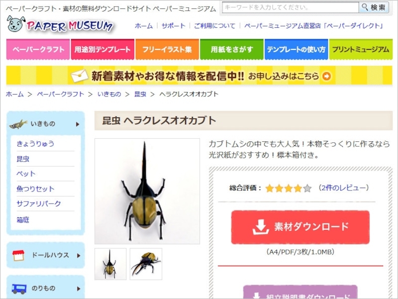 カブトムシ 工作 ペーパークラフト サンワサプライ ペーパーミュージアム