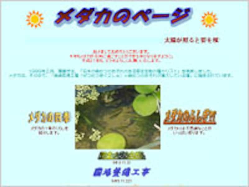 メダカのページ