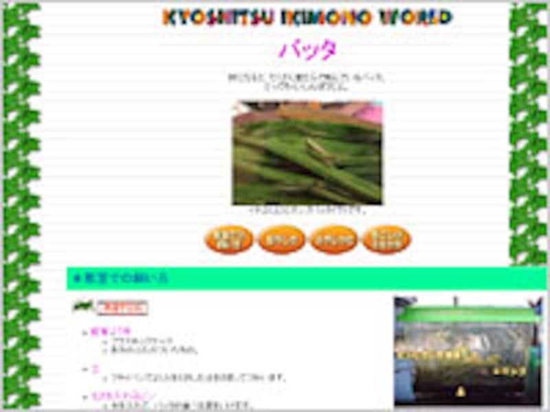 教室生き物ワールド バッタ