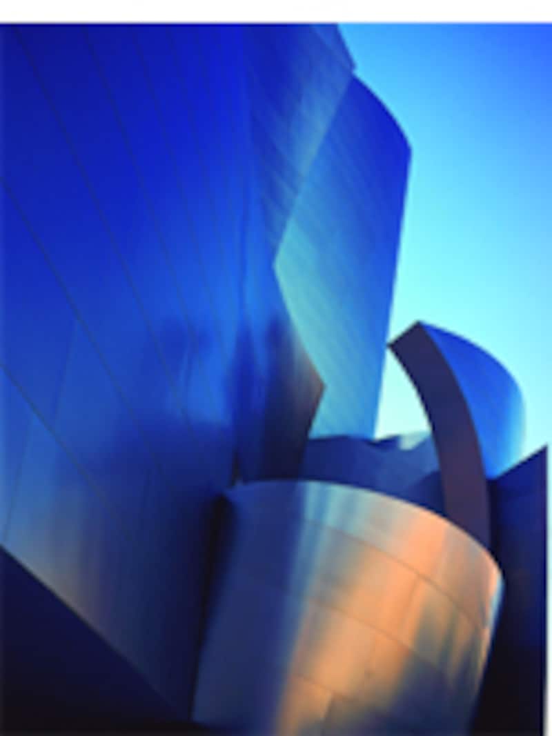 Skin + Bones: Parallel Practices in Fashion and Architecture