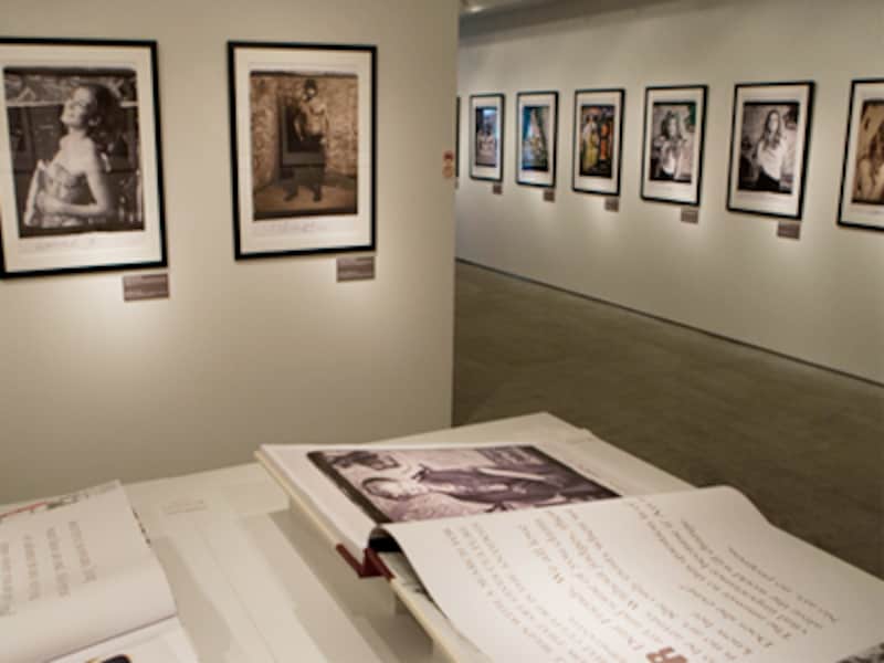 THE VIVIENNE WESTWOOD OPUS