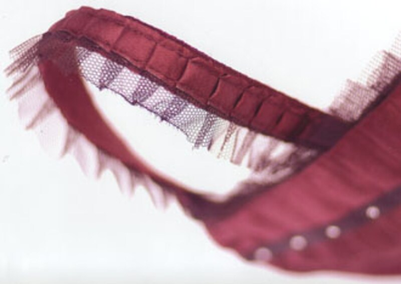 プランタン情報