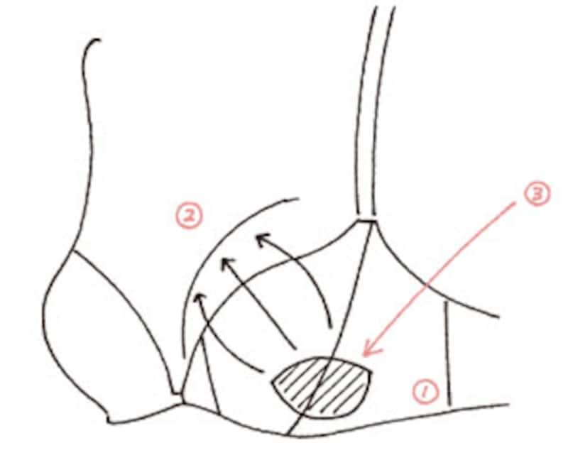 パルファージュ