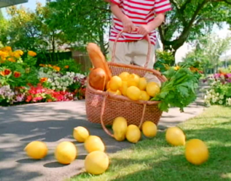 白い犬に追い越され気をとられて、たくさんのレモンをグリーンの芝の上にまき散らしてしまう。【花王・ニュービーズCM・母と娘シリーズ】のワンシーン