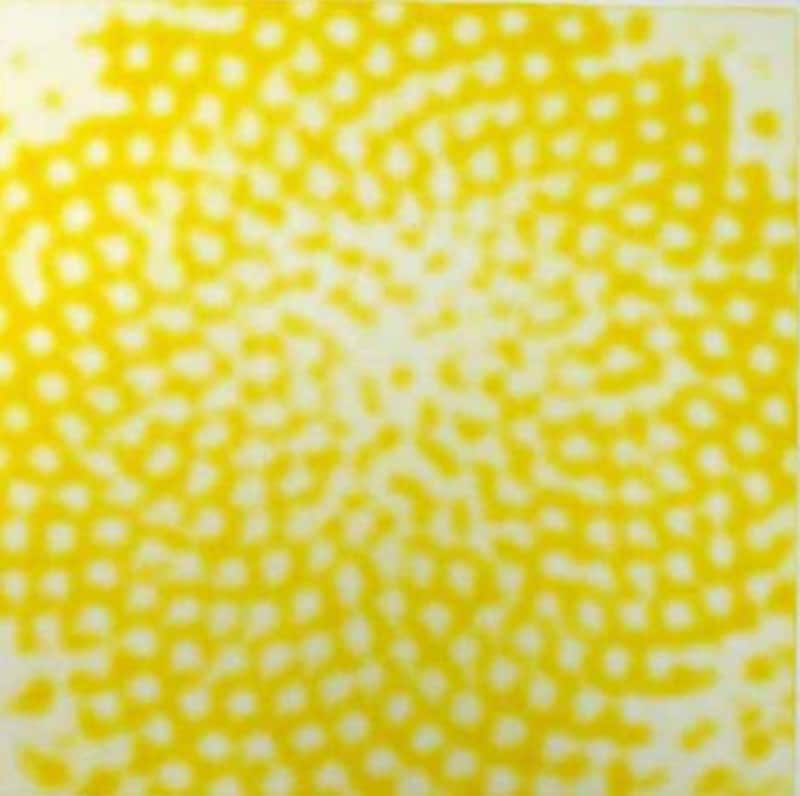 片山雅史さんの作品『皮膜2001－向日葵』 ひまわりの花芯部の螺旋状の造型パターンを拡大し、描いた作品