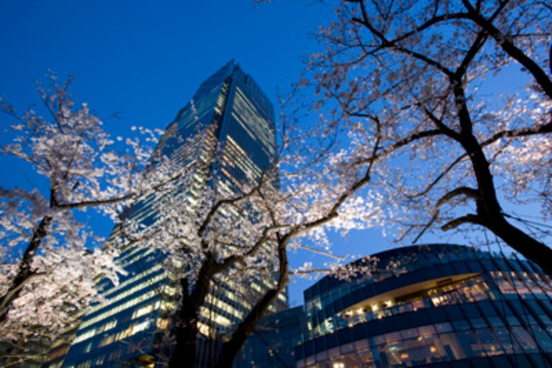 2010年春、開業3 周年を迎える東京ミッドタウンは、都心の桜の名所の１つ。夜間は幻想的な桜のライトアップを楽しむことができます。