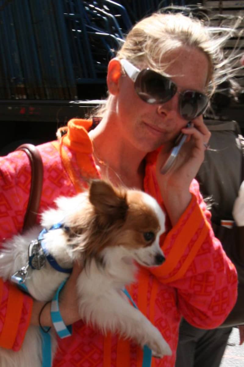 ホワイトフレーム