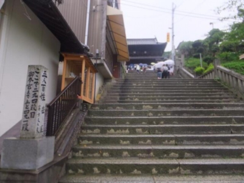 金刀比羅宮 1368段の階段登り こんぴらさんの観光 四国 香川 名所 旧跡 All About