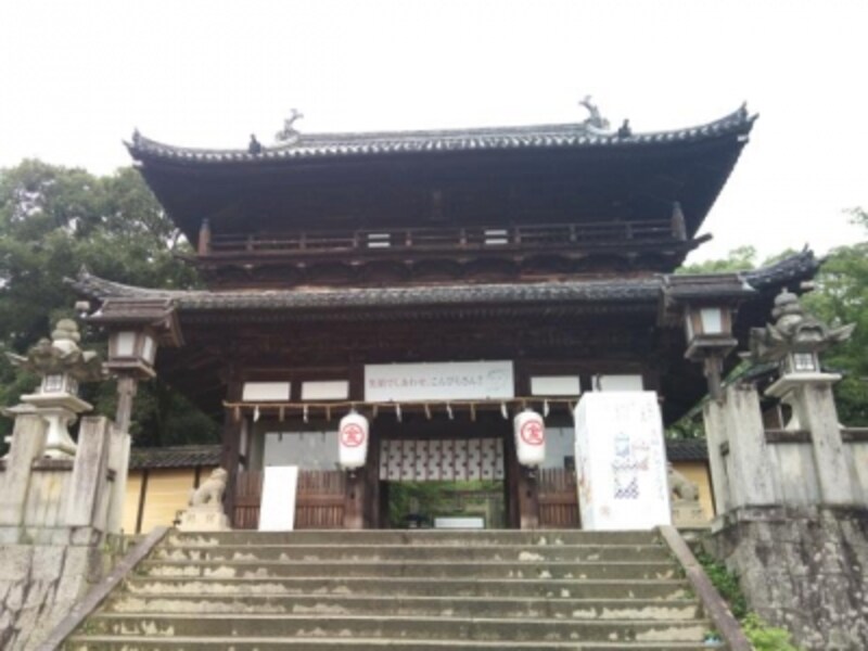 金刀比羅宮 1368段の階段登り こんぴらさんの観光 四国 香川 名所 旧跡 All About 金刀比羅宮 1368段の階段登り こんぴらさんの観光 四国 香川 名所 旧跡 All About