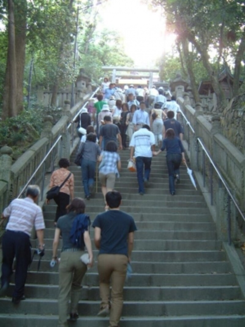 金刀比羅宮 1368段の階段登り こんぴらさんの観光 四国 香川 名所 旧跡 All About 金刀比羅宮 1368段の階段登り こんぴらさんの観光 四国 香川 名所 旧跡 All About