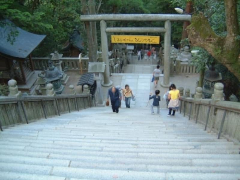 金刀比羅宮 1368段の階段登り こんぴらさんの観光 四国 香川 名所 旧跡 All About