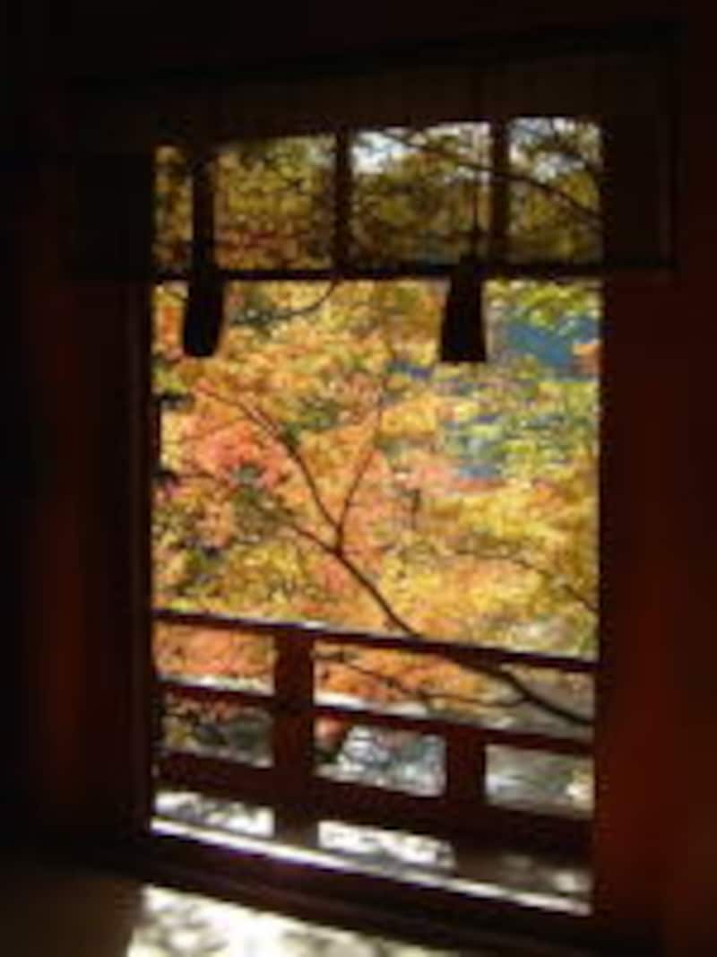 談山神社（3）／拝殿より紅葉を眺める