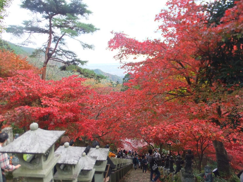 大山不動尊（大山寺）の紅葉（2）