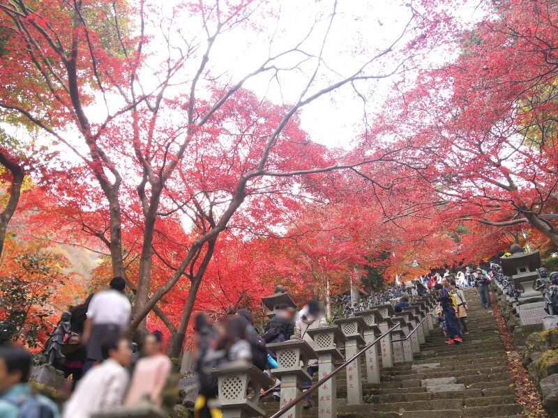 大山不動尊（大山寺）の紅葉（5）