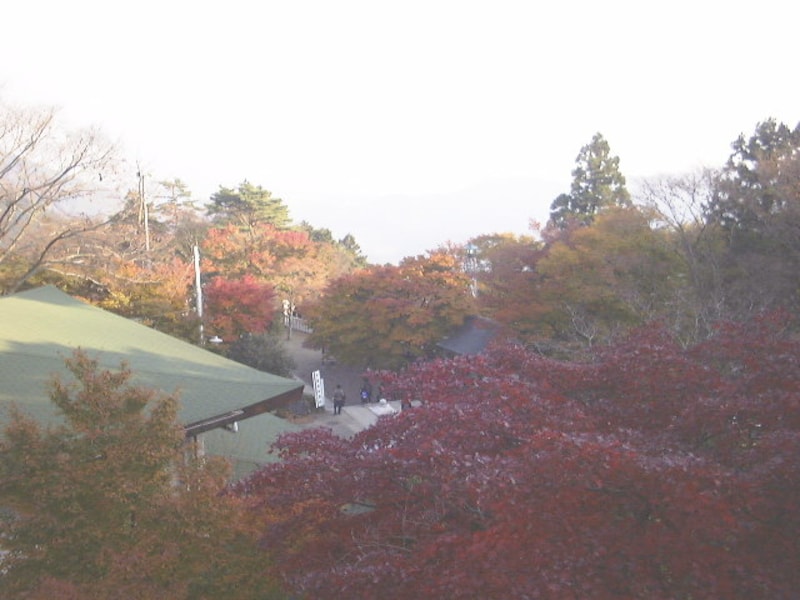 大山阿夫利神社 下社の紅葉（1）