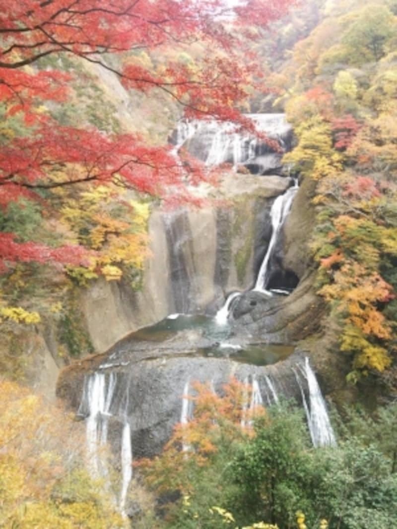 紅葉と美しい滝の協奏 袋田の滝へ 茨城 名所 旧跡 All About 紅葉と美しい滝の協奏 袋田の滝へ 茨城 名所 旧跡 All About