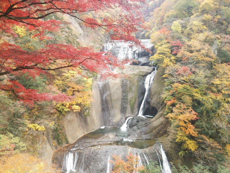 袋田の滝（1）／紅葉・黄葉