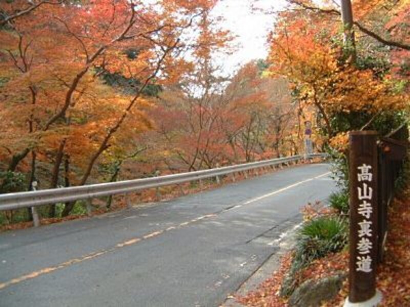 心ときめく紅葉満載 三尾を歩こう 京都 名所 旧跡 All About 心ときめく紅葉満載 三尾を歩こう 京都 名所 旧跡 All About