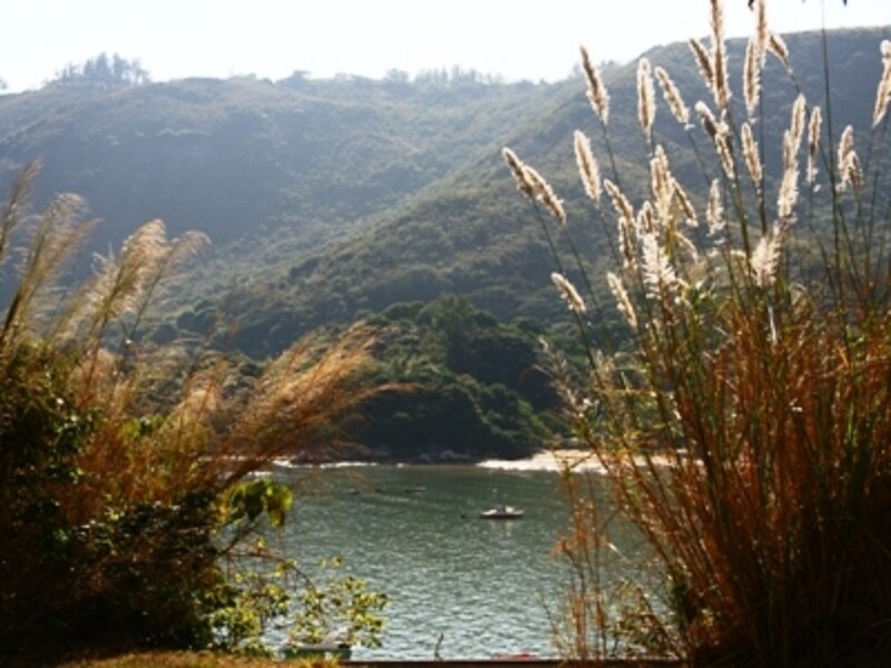 朝晩は涼しくなり過ごしやすくなる季節