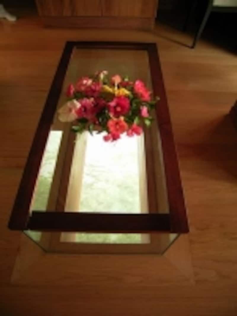 部屋にいながらにして水中の様子が覗けるガラステーブル