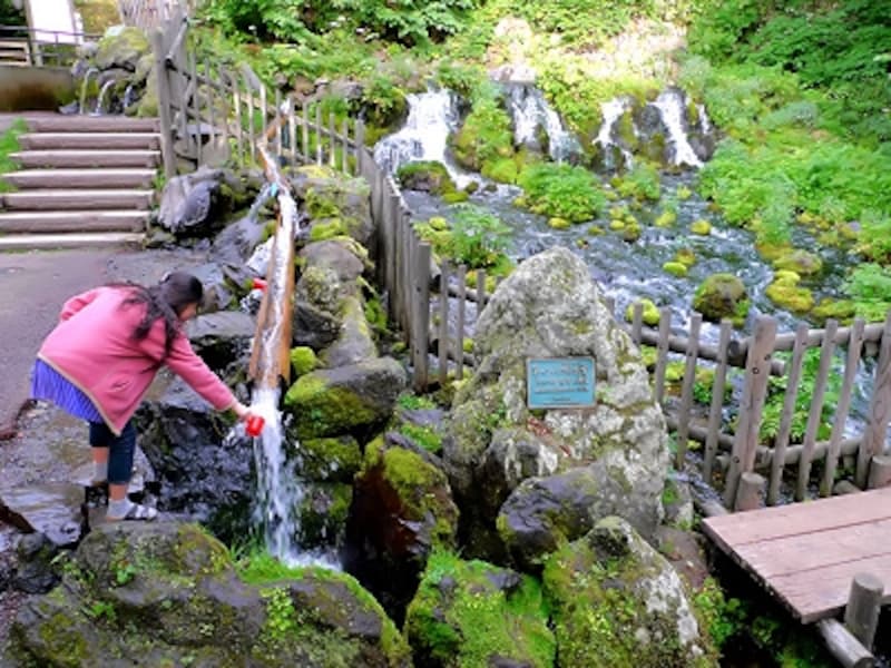 一日8万トンと日本有数の水量を誇る！京極町ふきだし湧水公園