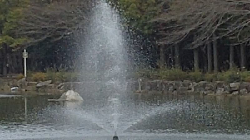 ▲GC-FM1の映像を切り出したもの（下記よりサンプル映像ダウンロード可能）