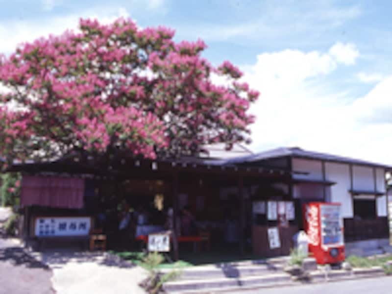 中禅寺「ゝ休庵」