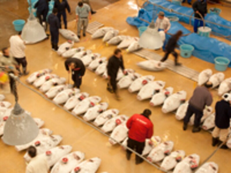 三浦市三崎水産物地方卸売市場