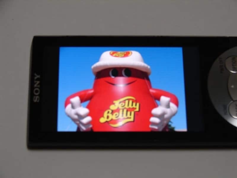 筆者鴻池の撮影した写真。記憶色よりも青と赤が派手に再現される。