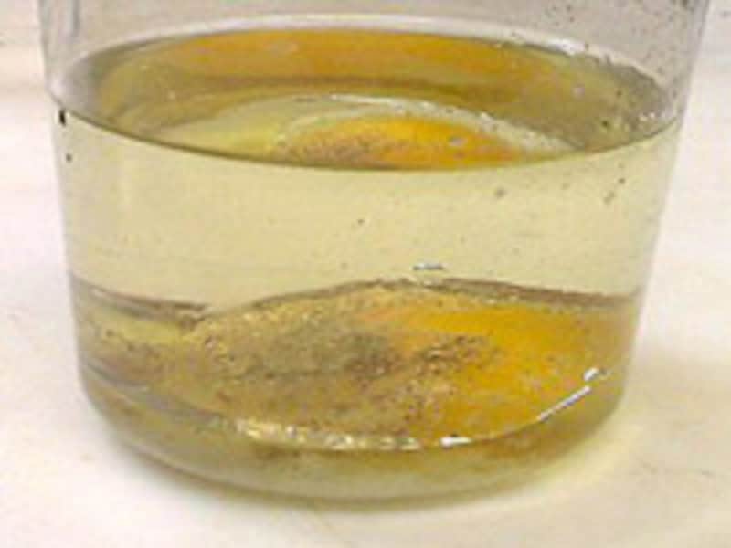 マヨネーズに含まれている油