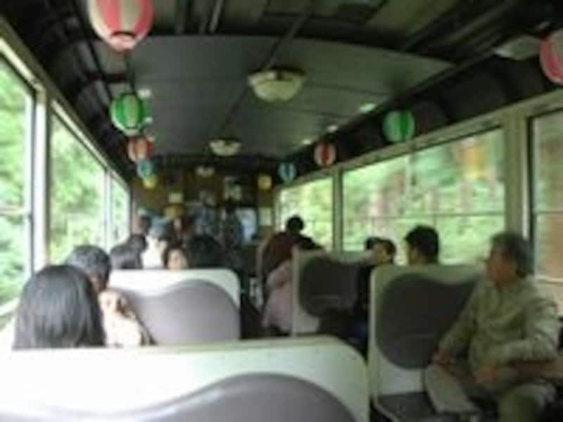 爽やかな自然の中を走るトロッコ車両の車内