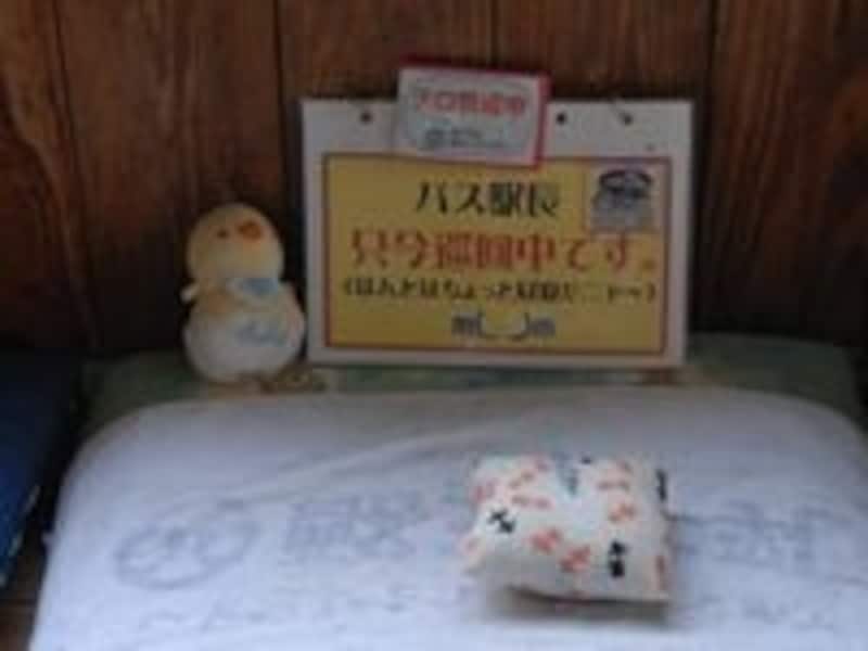 ネコ駅長は定位置はおろか駅周辺のどこにもいなかった