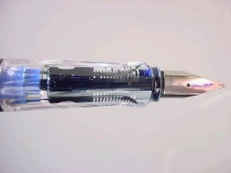 ラミーサファリ　スケルトン