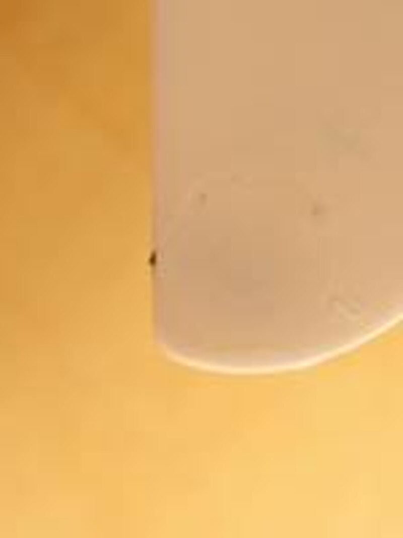 セイフティ　マジック　カッター