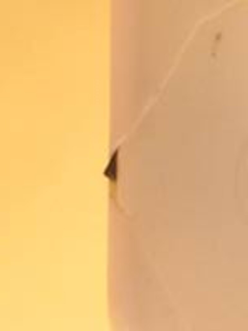 セイフティ　マジック　カッター