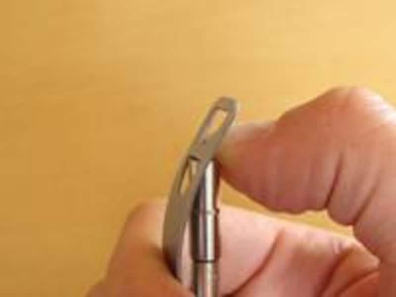 パラフェルナリア　FALTER　2D