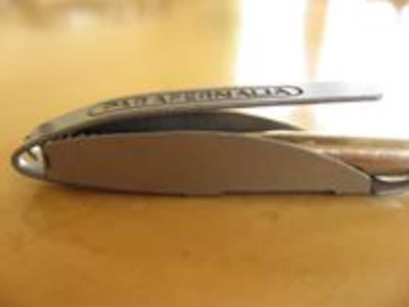 パラフェルナリア　FALTER　2D