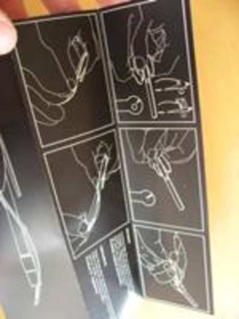 パラフェルナリア　FALTER　2D