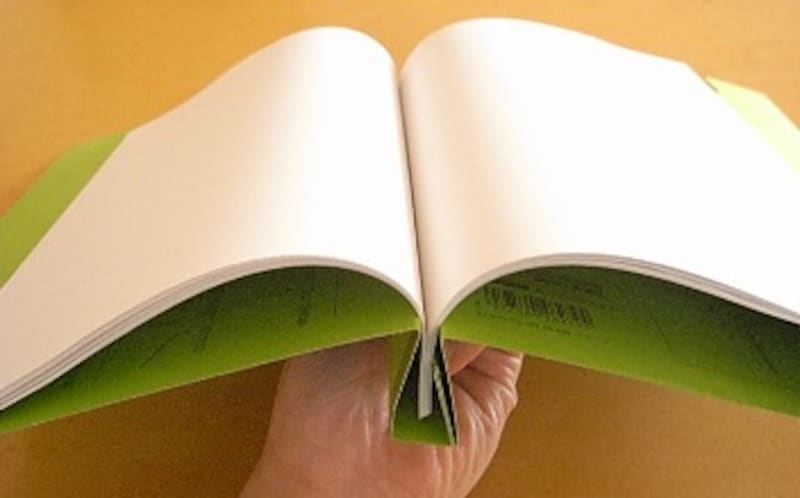 プラス フラットファイル見・分・録