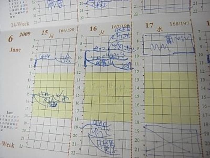 日野さんGTD 超整理手帳