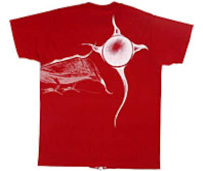 背中にも目玉をつけてみたくなる！