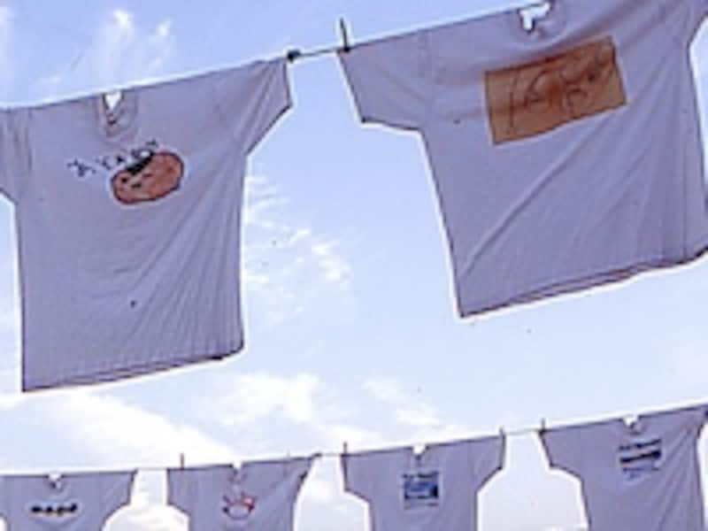 お絵描き.書道.写真.CGなんでもOK