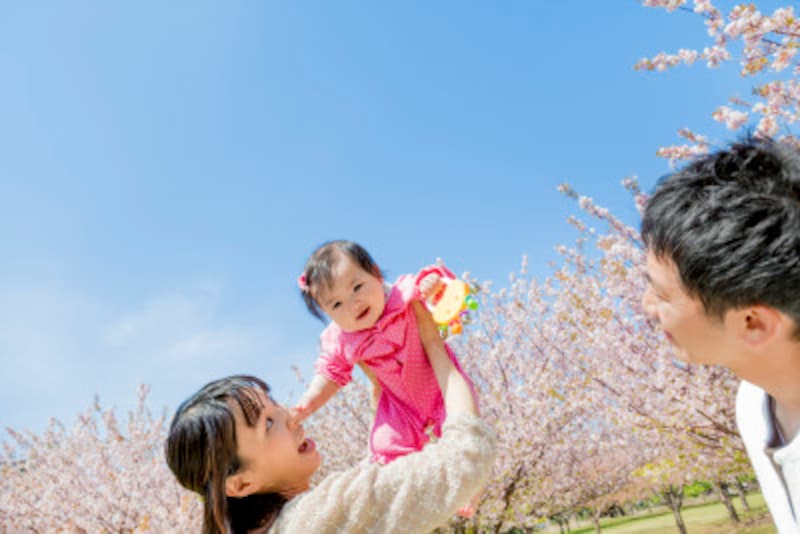 赤ちゃんや子供を連れた楽しいお花見!