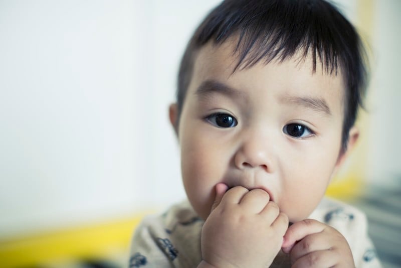 乳幼児は、予想もしないモノを予想もしない方法で手に取り、口にいれることがあります。じゅうぶん注意してあげたいですね