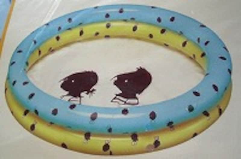 イップとヤネケ ベビープール