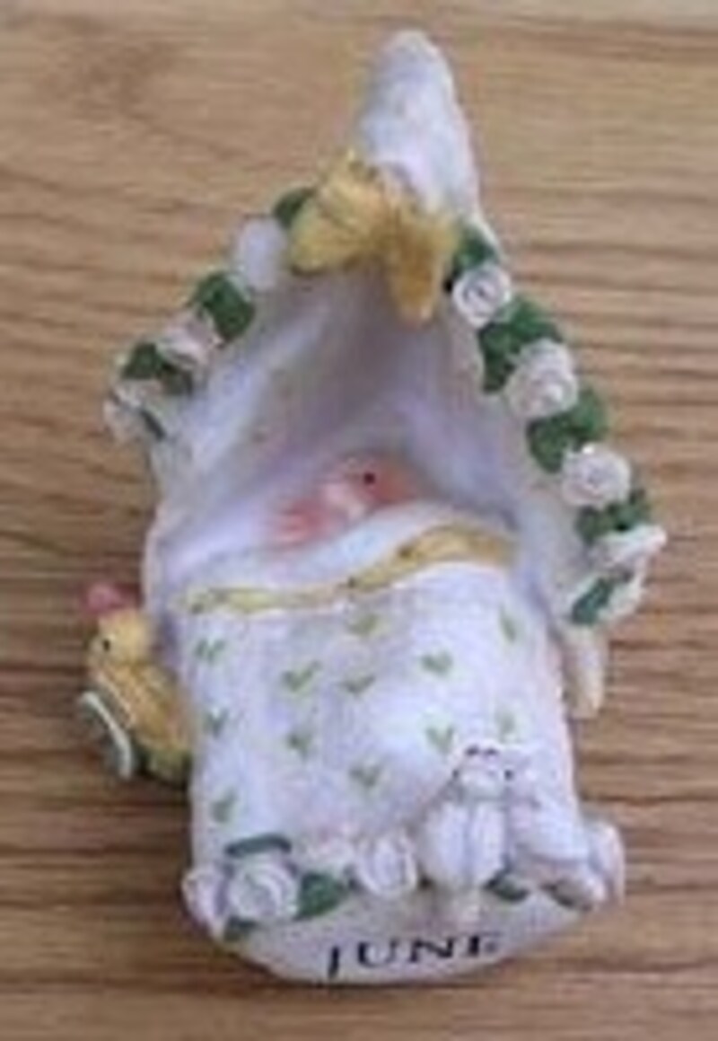 「６月生まれの赤ちゃん」