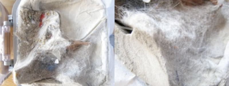 エアシスダストカップ１