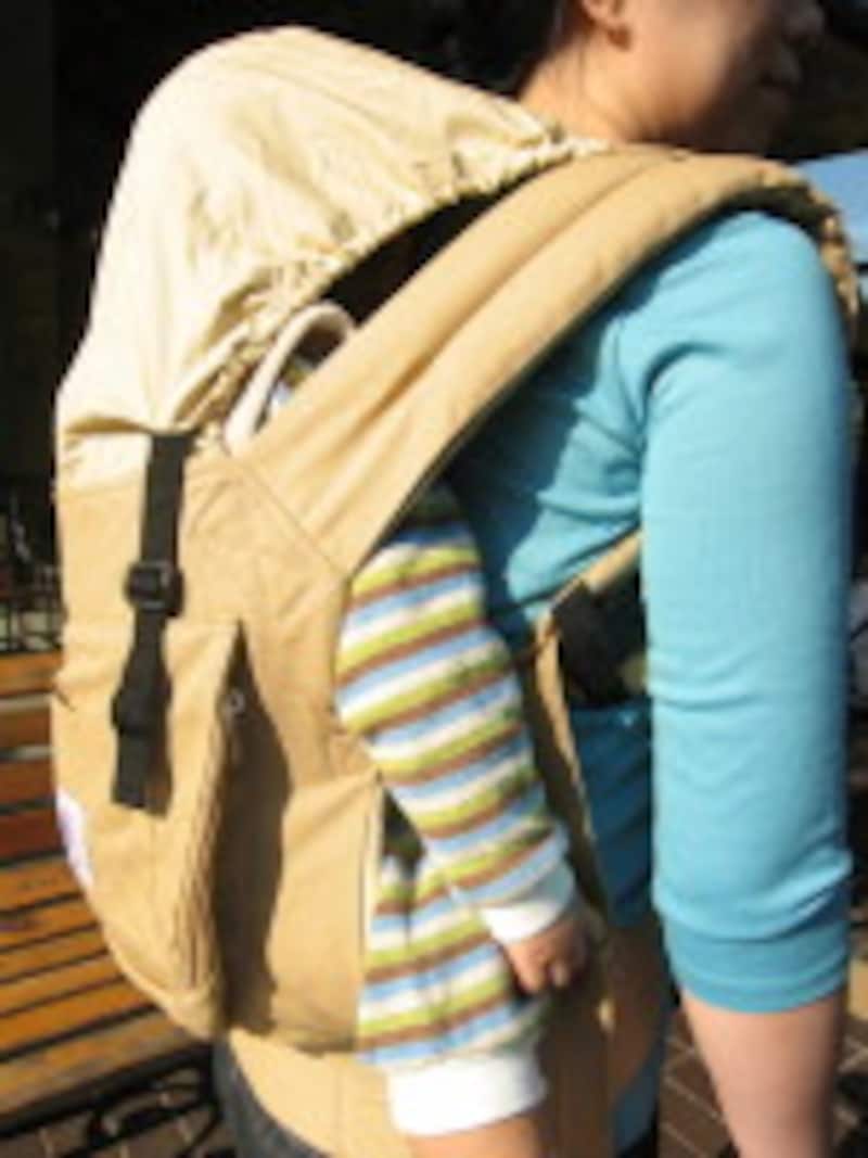 エルゴベビーキャリーフード