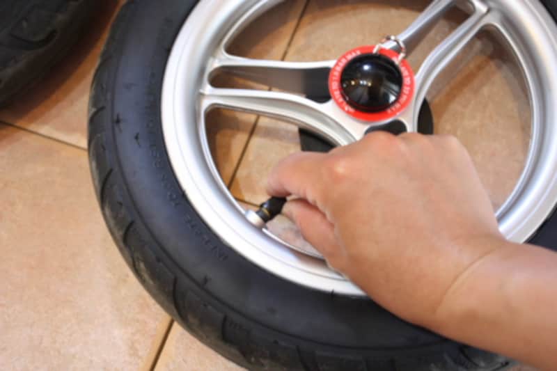 マイクラライトtoro